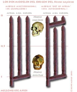 Modelos del origen del Homo sapiens